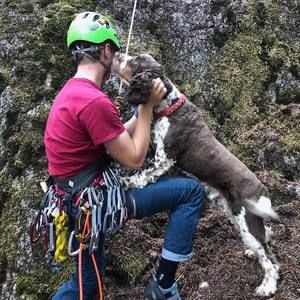 Meet your Posher, Owen